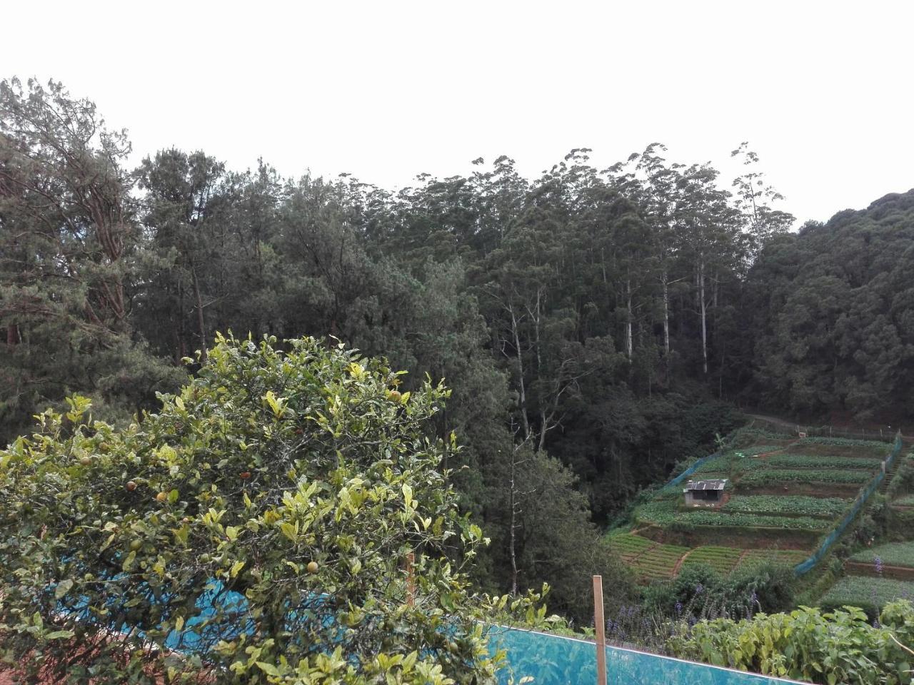 Keshiya Holiday Home Nuwara Eliya Bagian luar foto